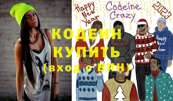 крисы Кулебаки