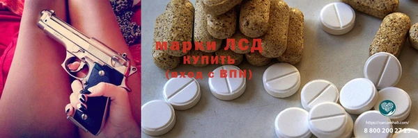 крисы Кулебаки