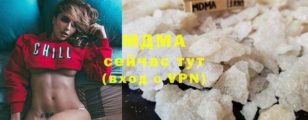 крисы Кулебаки