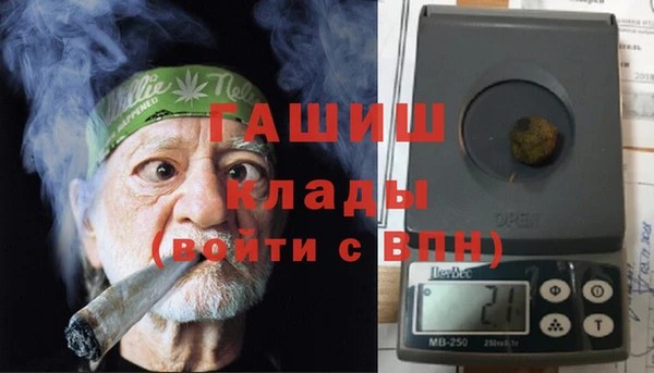 крисы Кулебаки
