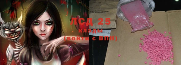 крисы Кулебаки