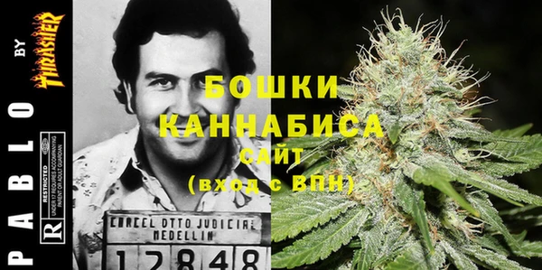 крисы Кулебаки