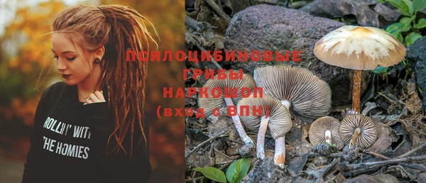 крисы Кулебаки