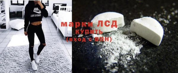 крисы Кулебаки