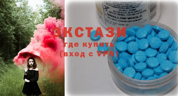 крисы Кулебаки