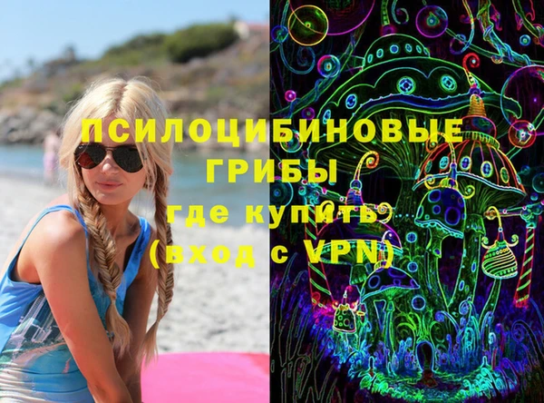 крисы Кулебаки