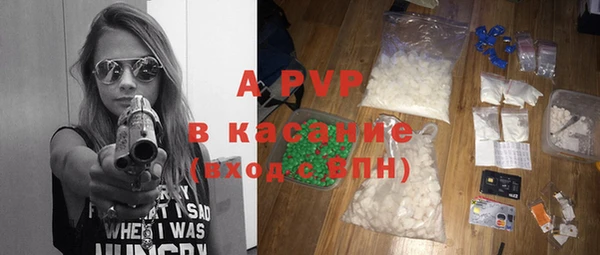 крисы Кулебаки
