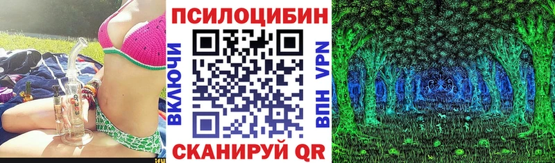 Галлюциногенные грибы мицелий  Купить где  Волгодонск 